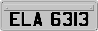 ELA6313