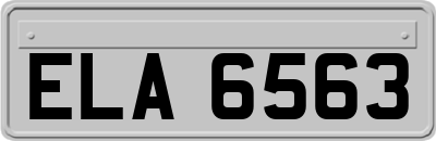 ELA6563