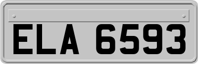 ELA6593
