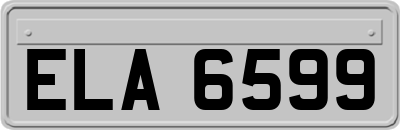 ELA6599