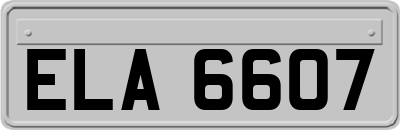 ELA6607