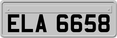 ELA6658