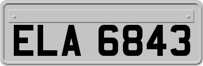 ELA6843