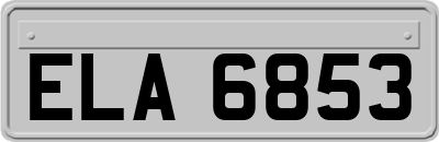 ELA6853