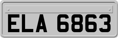 ELA6863