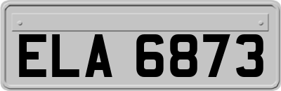 ELA6873