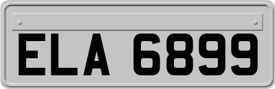 ELA6899