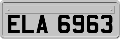 ELA6963