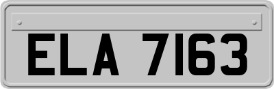 ELA7163