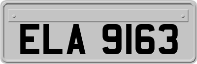 ELA9163