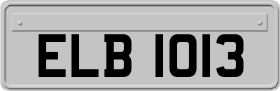 ELB1013