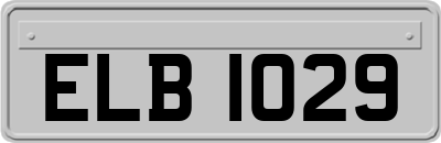 ELB1029