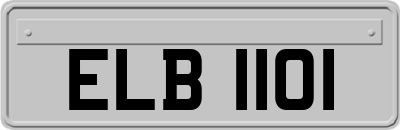 ELB1101