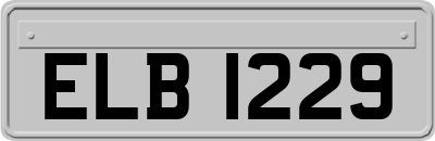 ELB1229