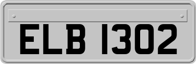 ELB1302