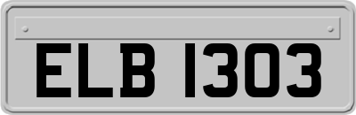 ELB1303