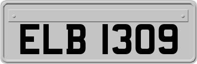 ELB1309