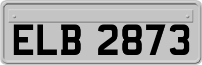 ELB2873