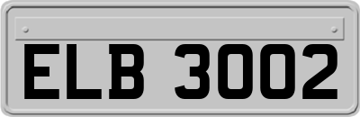ELB3002