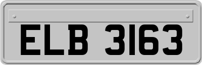 ELB3163