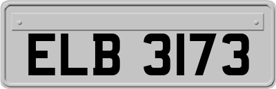 ELB3173
