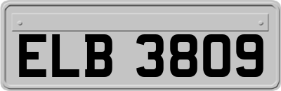 ELB3809