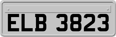 ELB3823