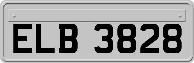 ELB3828