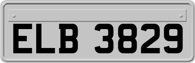 ELB3829