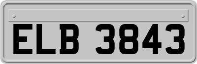 ELB3843