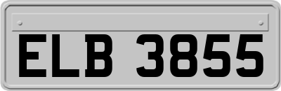 ELB3855