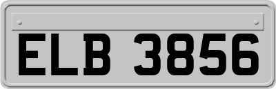 ELB3856