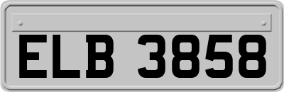 ELB3858