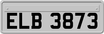 ELB3873