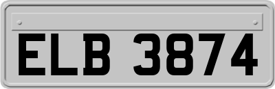 ELB3874