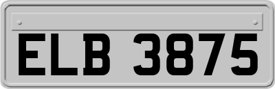 ELB3875