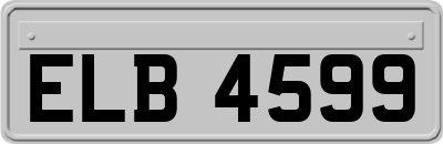 ELB4599