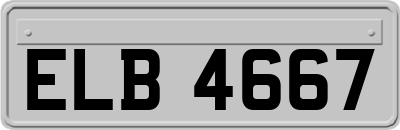 ELB4667