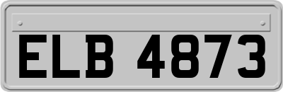 ELB4873