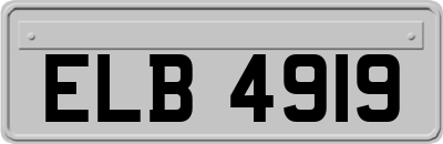 ELB4919