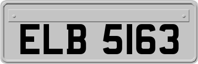 ELB5163