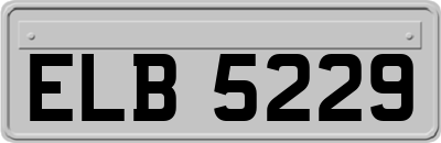 ELB5229