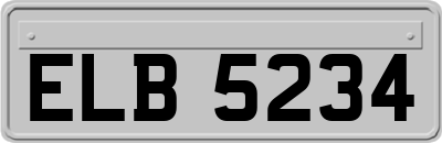 ELB5234
