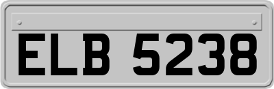 ELB5238