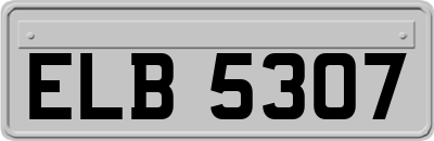 ELB5307