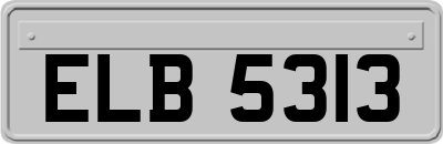 ELB5313