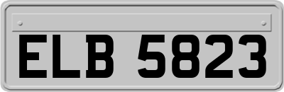 ELB5823