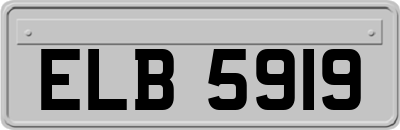 ELB5919