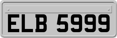 ELB5999