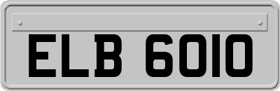 ELB6010